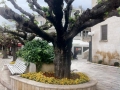 Makarska 31